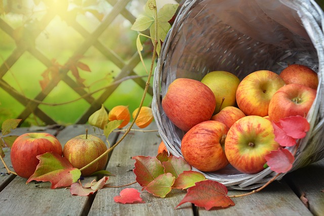 Bezpieczeństwo Żywności i Przechowywanie Jabłek w Chłodni